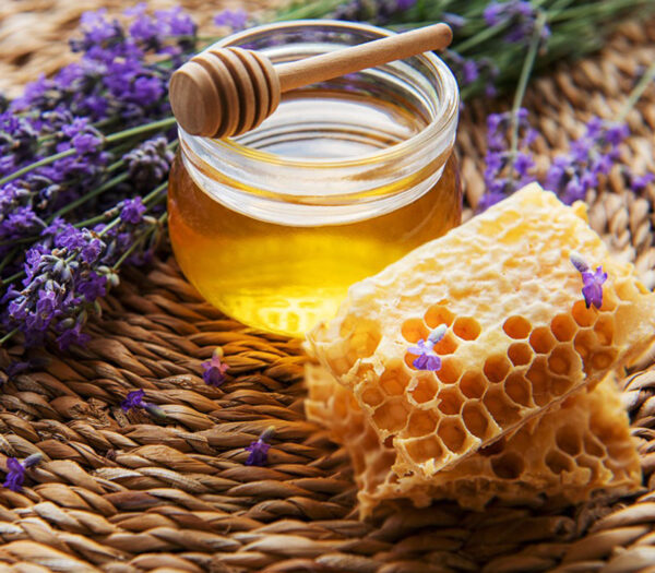 خرید عسل اسطوخودوس طبیعی