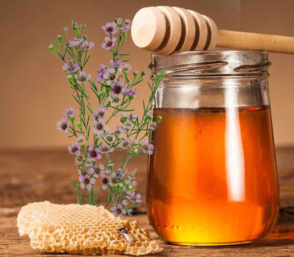 خرید عسل گون طبیعی