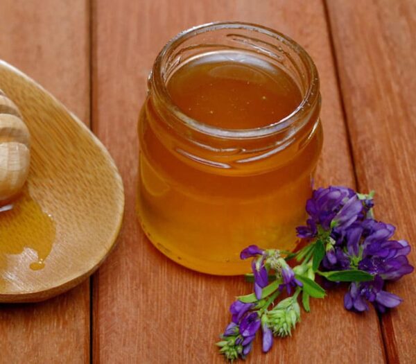 خرید عسل یونجه طبیعی